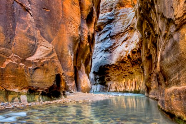 Don’t Freak Out! How to Pee in Zion National Park