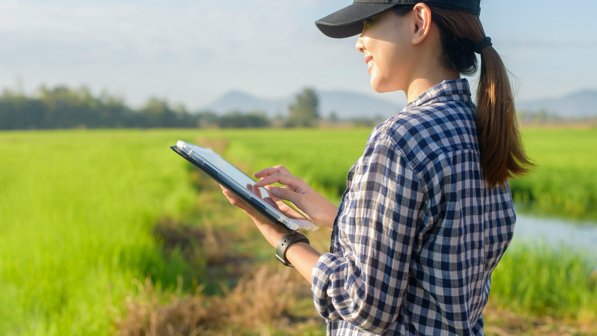 Field Research – pStyle
